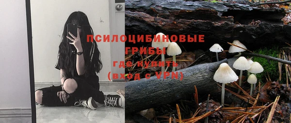 гашик Лихославль